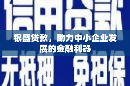 大甲银盛贷款，助力中小企业发展的金融利器