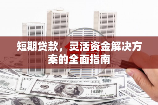 大甲短期贷款，灵活资金解决方案的全面指南