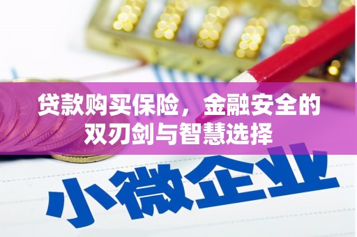 大甲贷款购买保险，金融安全的双刃剑与智慧选择
