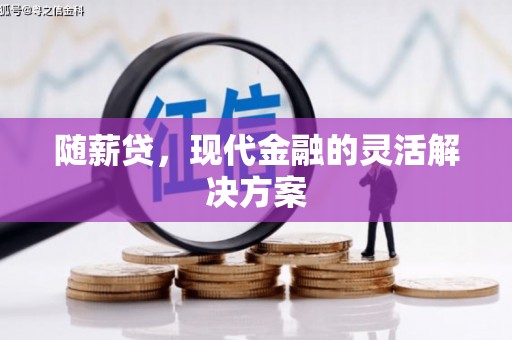大甲随薪贷，现代金融的灵活解决方案