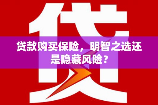 大甲贷款购买保险，明智之选还是隐藏风险？