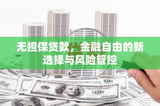 大甲无担保贷款，金融自由的新选择与风险管控