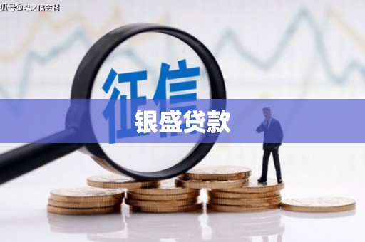 大甲银盛贷款