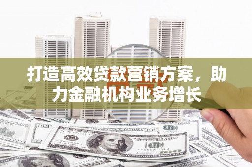 大甲打造高效贷款营销方案，助力金融机构业务增长
