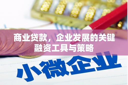 大甲商业贷款，企业发展的关键融资工具与策略