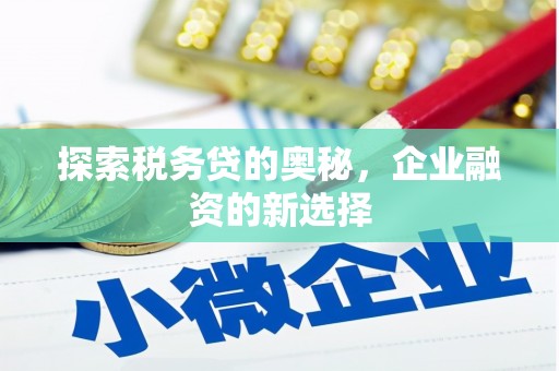 大甲探索税务贷的奥秘，企业融资的新选择