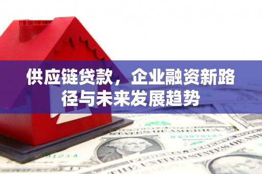 大甲供应链贷款，企业融资新路径与未来发展趋势
