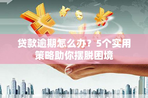 大甲贷款逾期怎么办？5个实用策略助你摆脱困境