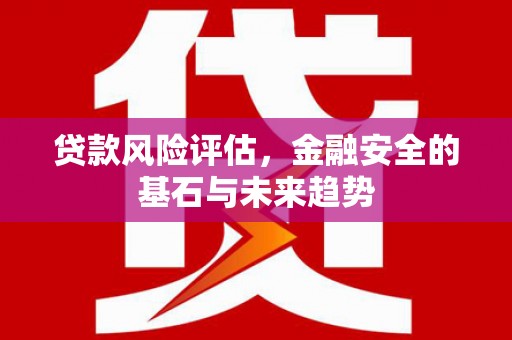 大甲贷款风险评估，金融安全的基石与未来趋势