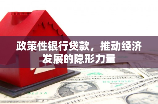 大甲政策性银行贷款，推动经济发展的隐形力量