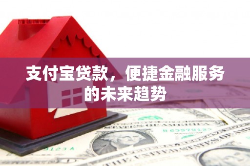 大甲支付宝贷款，便捷金融服务的未来趋势