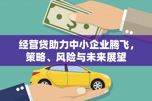 大甲经营贷助力中小企业腾飞，策略、风险与未来展望