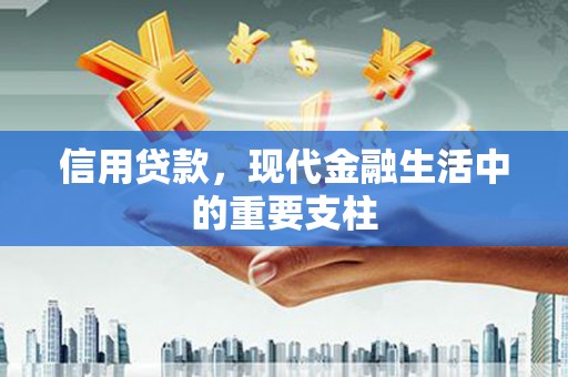大甲信用贷款，现代金融生活中的重要支柱