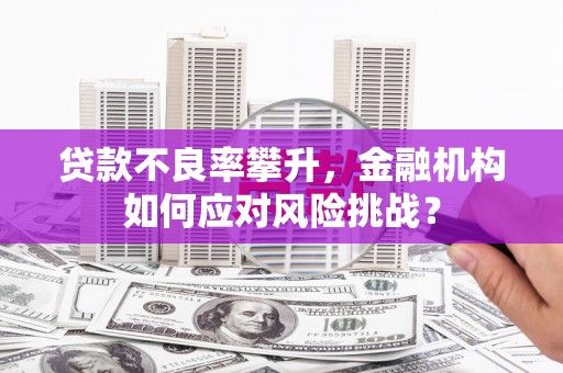 大甲贷款不良率攀升，金融机构如何应对风险挑战？