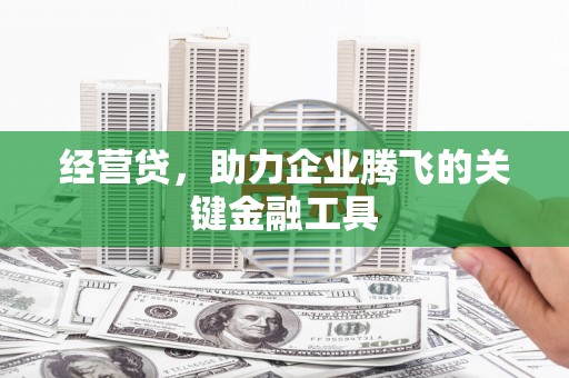 大甲经营贷，助力企业腾飞的关键金融工具
