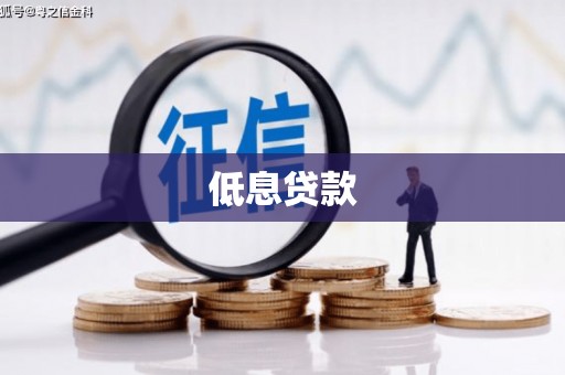 大甲低息贷款