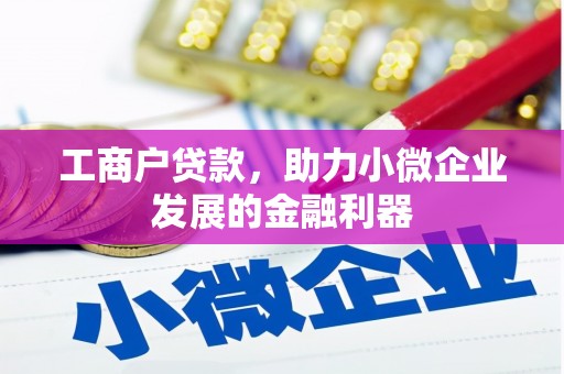 大甲工商户贷款，助力小微企业发展的金融利器