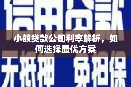 大甲小额贷款公司利率解析，如何选择最优方案