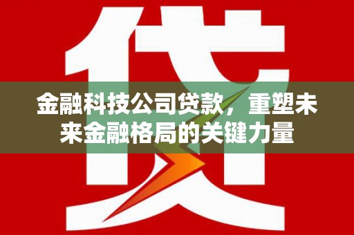 大甲金融科技公司贷款，重塑未来金融格局的关键力量