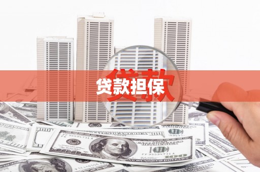 大甲贷款担保