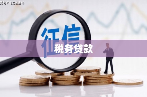 大甲税务贷款