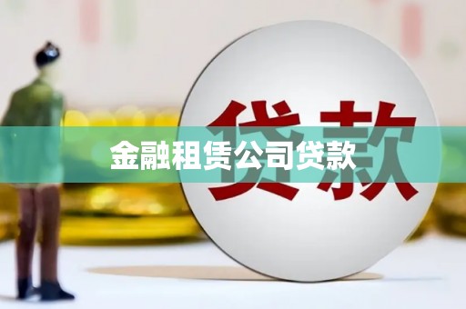 大甲金融租赁公司贷款