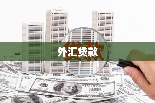 大甲外汇贷款