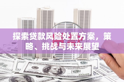 大甲探索贷款风险处置方案，策略、挑战与未来展望