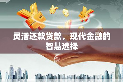 大甲灵活还款贷款，现代金融的智慧选择