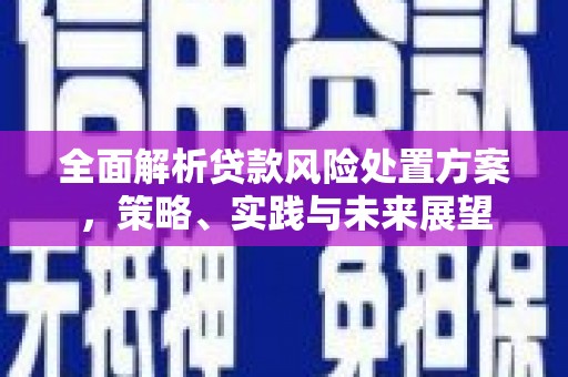大甲全面解析贷款风险处置方案，策略、实践与未来展望