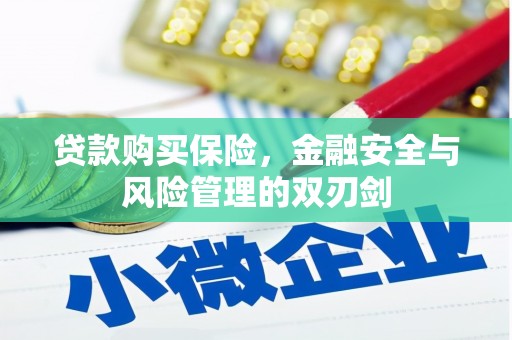 大甲贷款购买保险，金融安全与风险管理的双刃剑