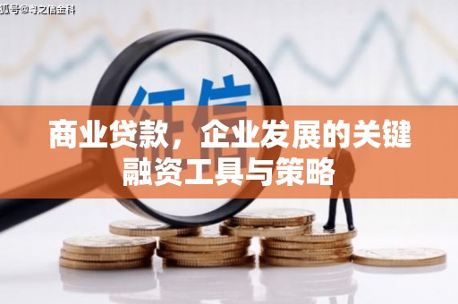 大甲商业贷款，企业发展的关键融资工具与策略