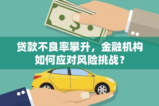 大甲贷款不良率攀升，金融机构如何应对风险挑战？