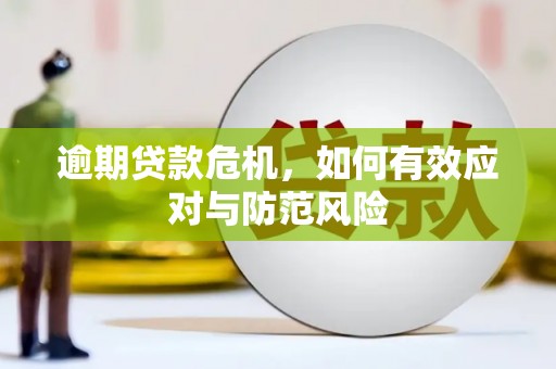 大甲逾期贷款危机，如何有效应对与防范风险