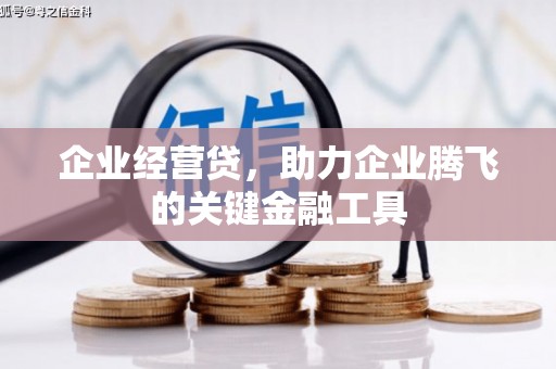 大甲企业经营贷，助力企业腾飞的关键金融工具