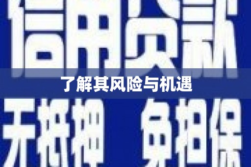 大甲了解其风险与机遇