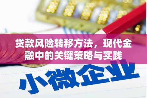 大甲贷款风险转移方法，现代金融中的关键策略与实践