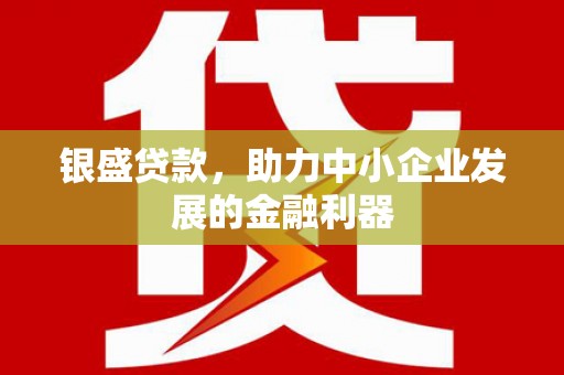 大甲银盛贷款，助力中小企业发展的金融利器