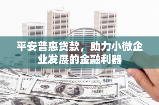 大甲平安普惠贷款，助力小微企业发展的金融利器