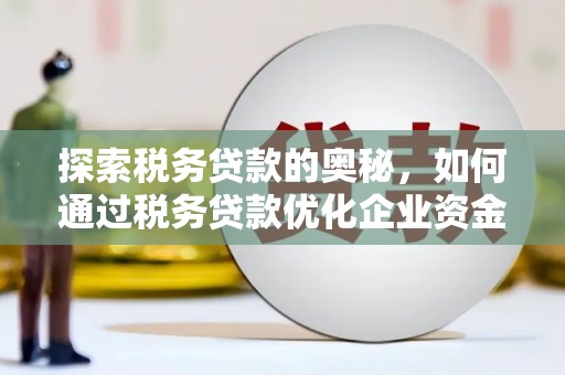 大甲探索税务贷款的奥秘，如何通过税务贷款优化企业资金流