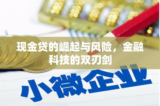 大甲现金贷的崛起与风险，金融科技的双刃剑