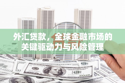 大甲外汇贷款，全球金融市场的关键驱动力与风险管理