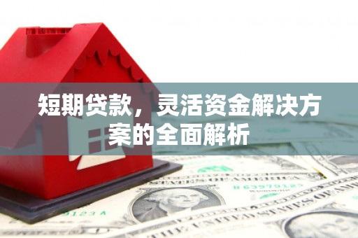 大甲短期贷款，灵活资金解决方案的全面解析