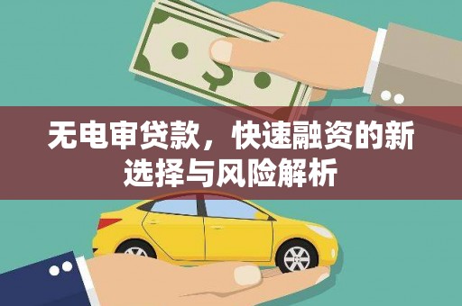 大甲无电审贷款，快速融资的新选择与风险解析