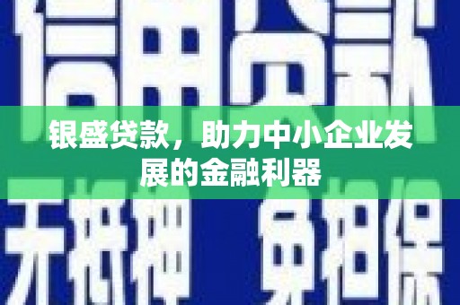 大甲银盛贷款，助力中小企业发展的金融利器