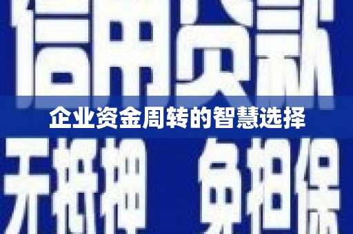 大甲企业资金周转的智慧选择