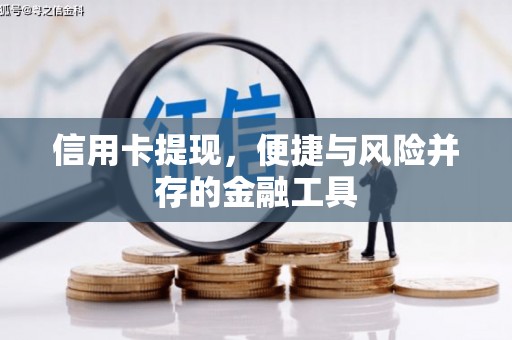 大甲信用卡提现，便捷与风险并存的金融工具
