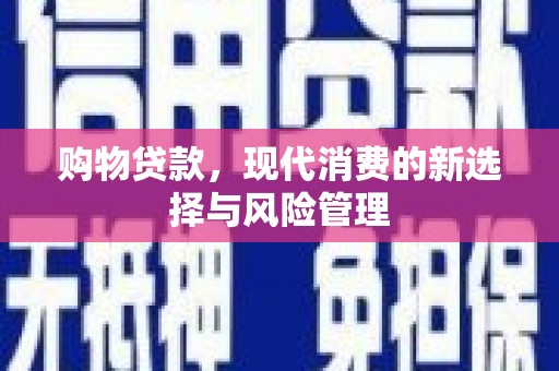 大甲购物贷款，现代消费的新选择与风险管理