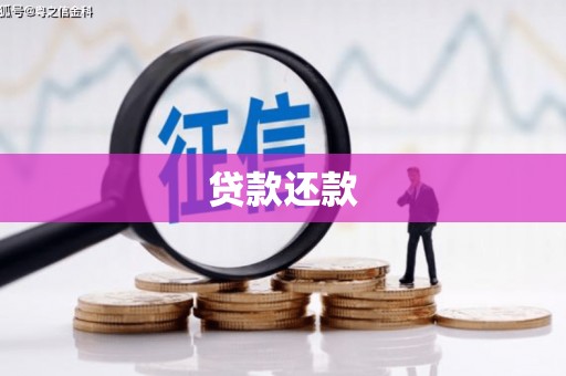 大甲贷款还款