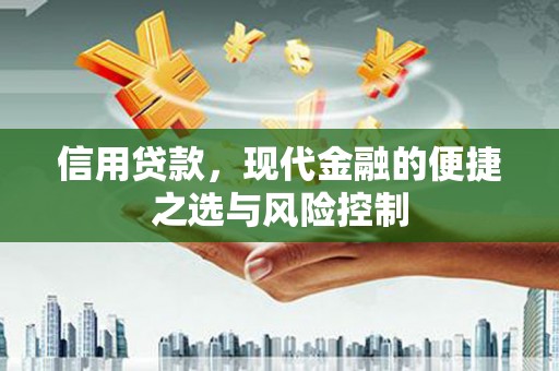 大甲信用贷款，现代金融的便捷之选与风险控制